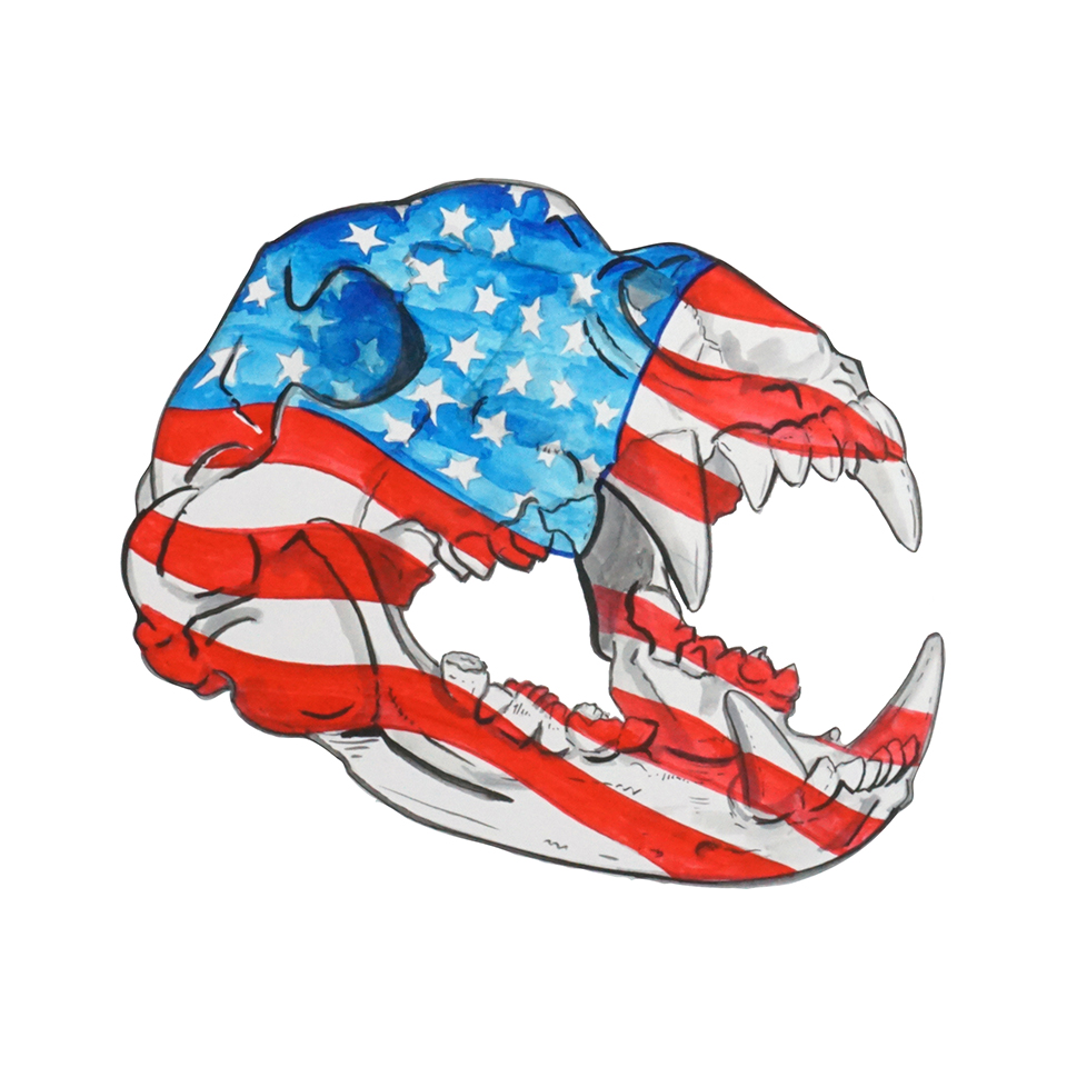 Bear Skull - USA Flag