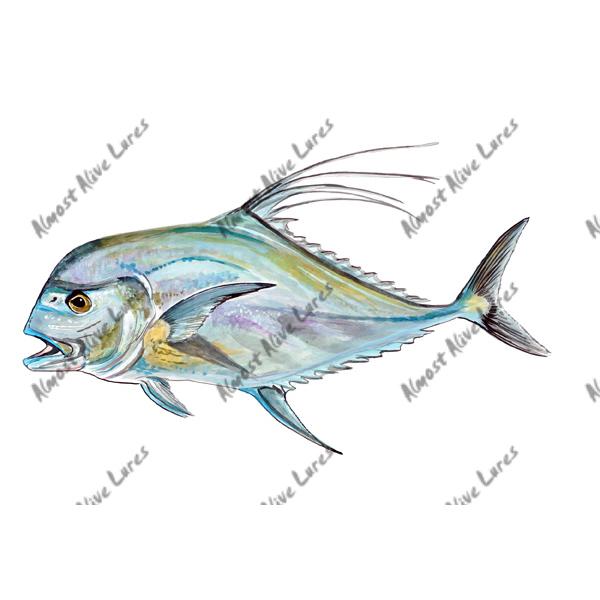 African Pompano - Printed Vinyl Decal