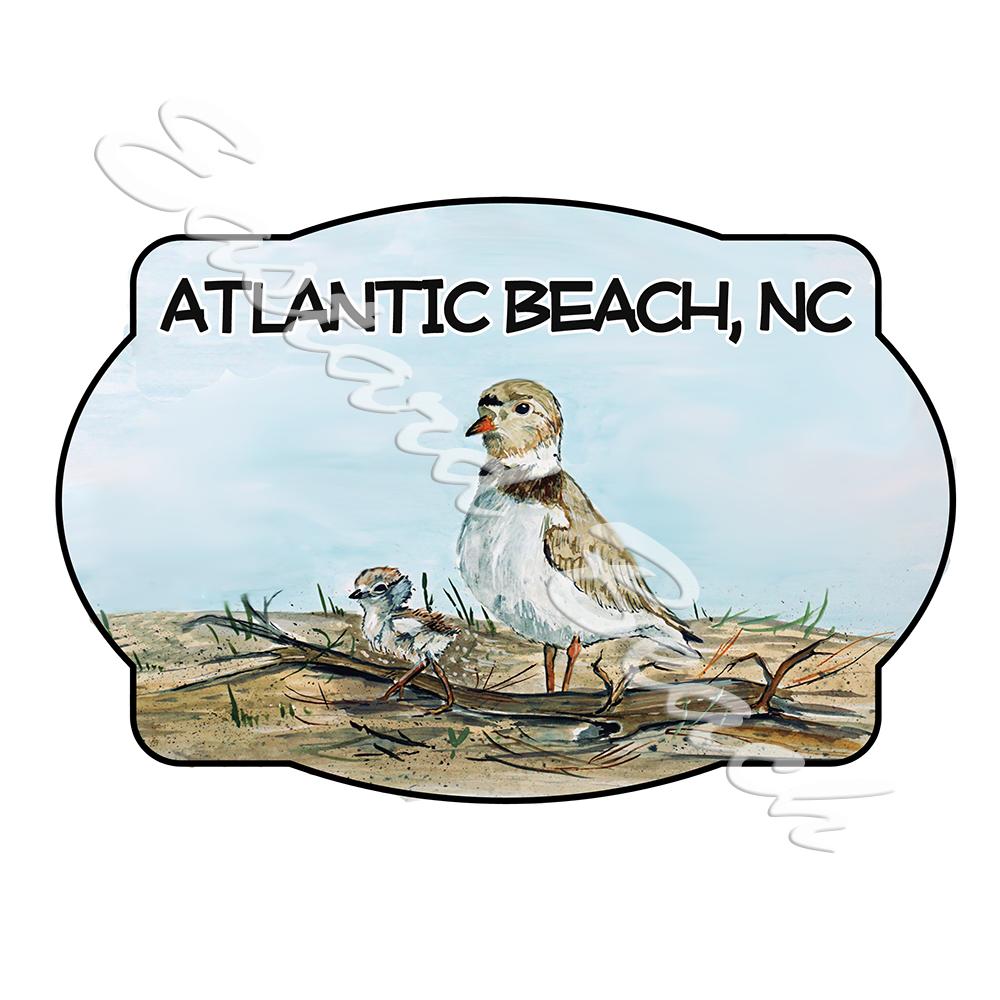 Atlantic Beach - Shorebird Scene - Click Image to Close