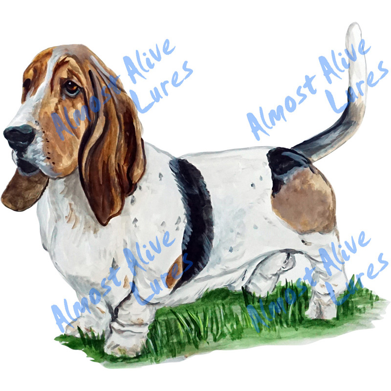 Basset Hound - Printed Vinyl Decal - Click Image to Close