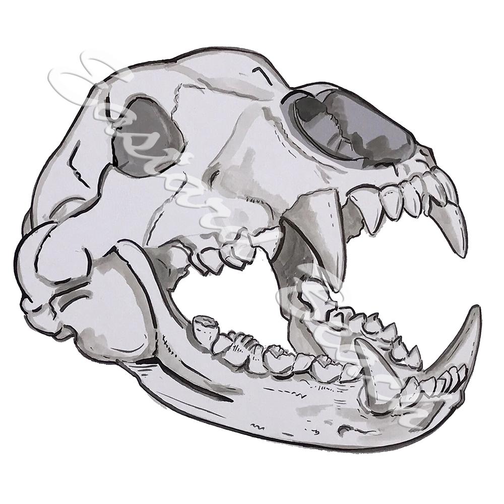 Bear Skull - Click Image to Close