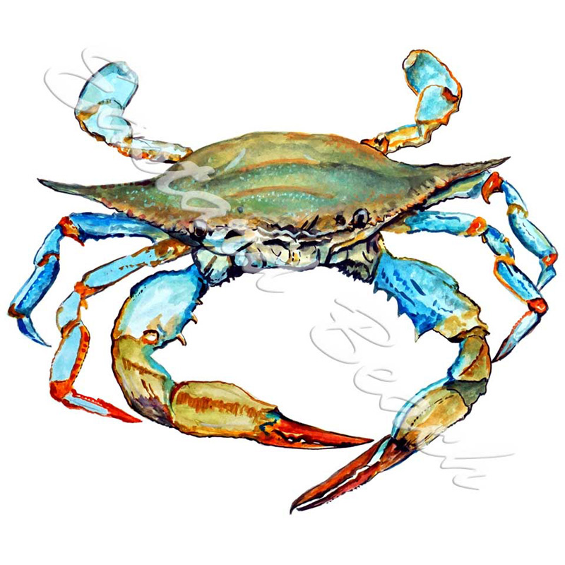 Blue Crab 2 - Click Image to Close
