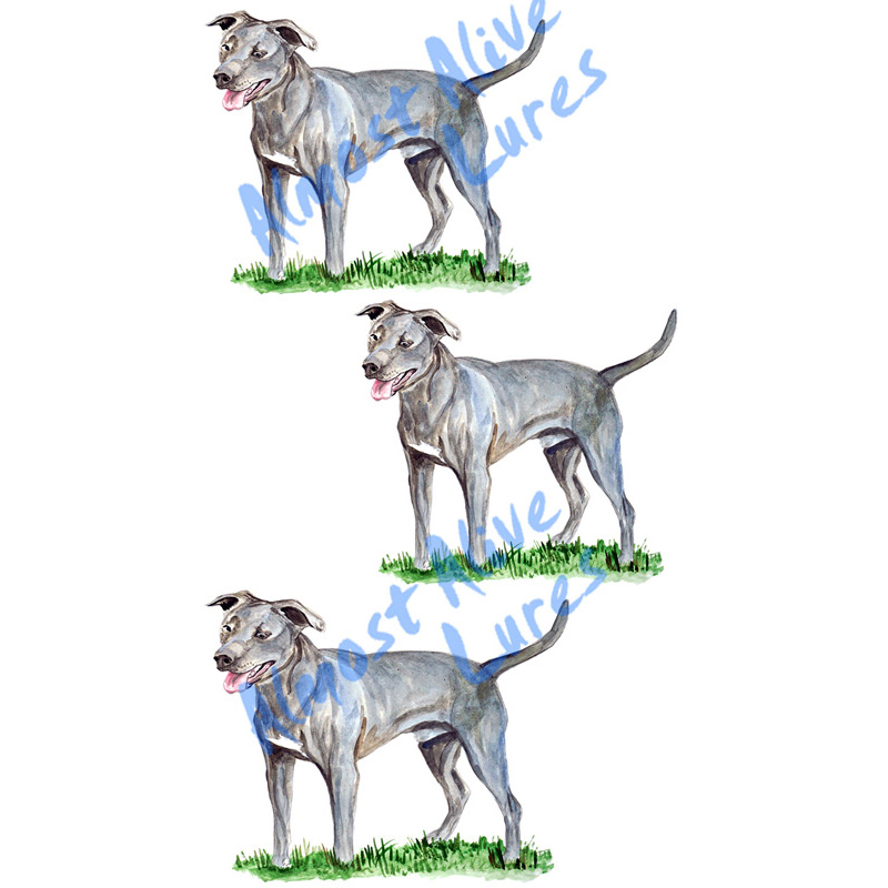 Blue Lacie - Minis Set of 3 Printed Vinyl Decals - Click Image to Close