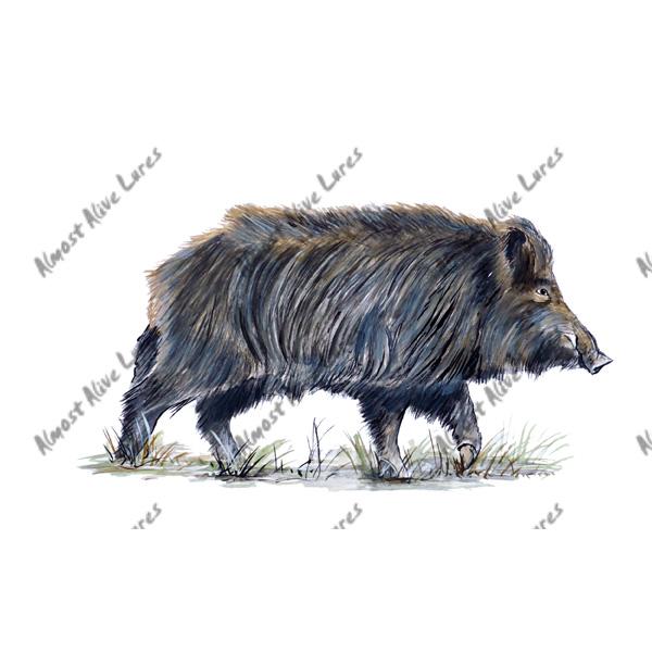 Wild Boar Hog - Printed Vinyl Decal - Click Image to Close