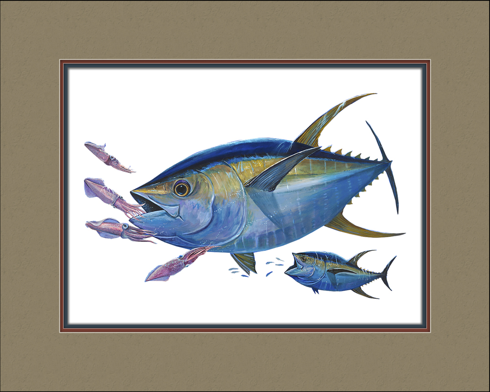 Yellowfin Tuna and Squids - Click Image to Close