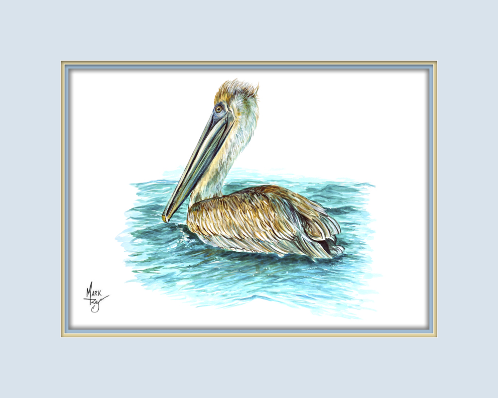 Pelican - Click Image to Close