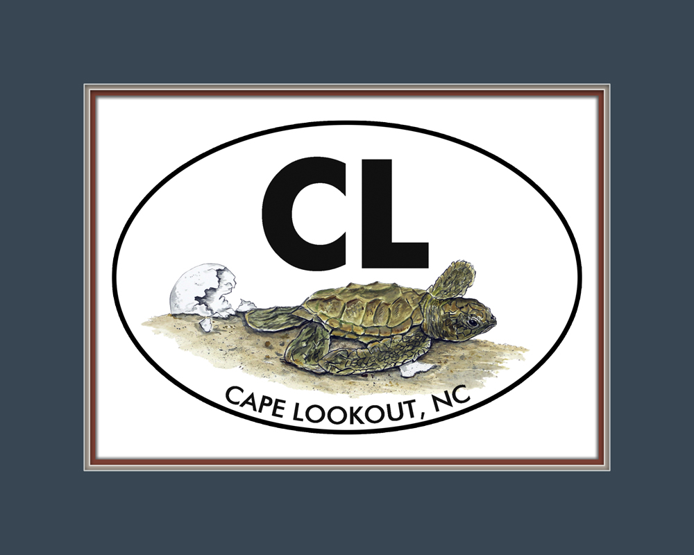 CL - Cape Lookout OBX - Turtle Hatchling - Click Image to Close