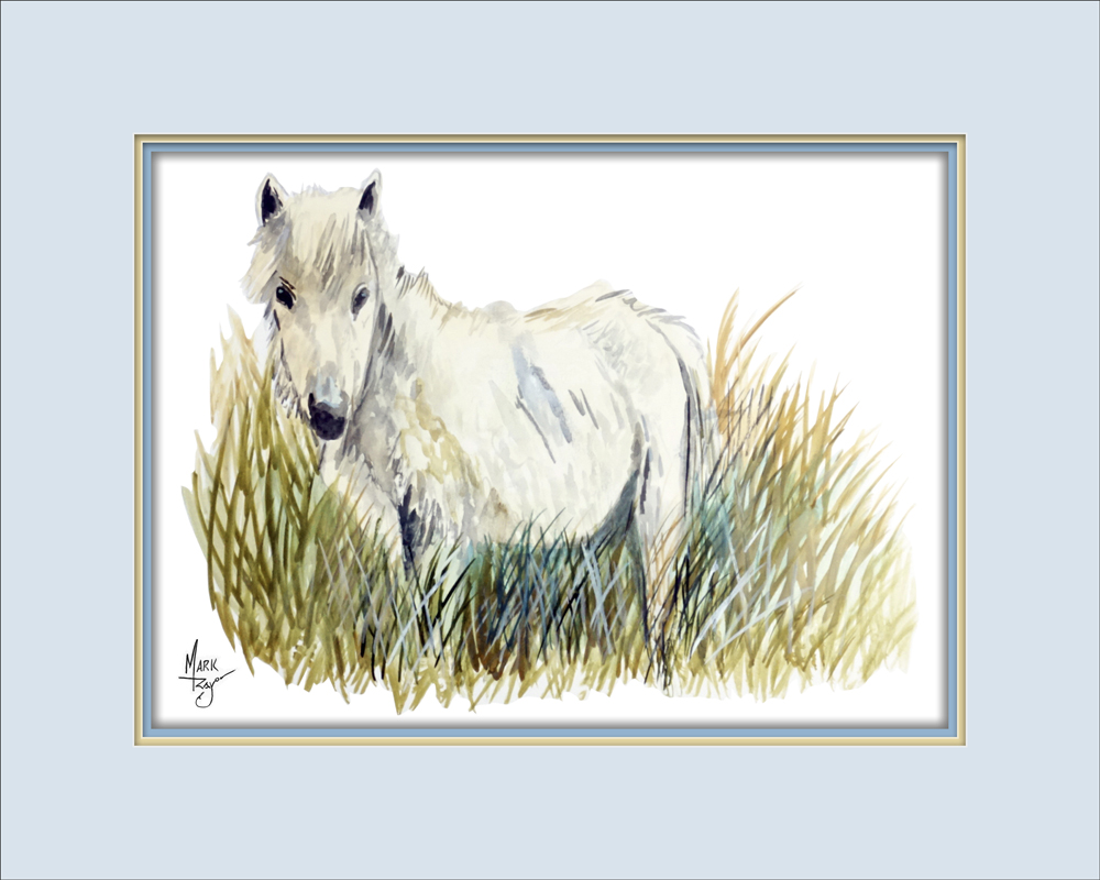 White Pony - Click Image to Close