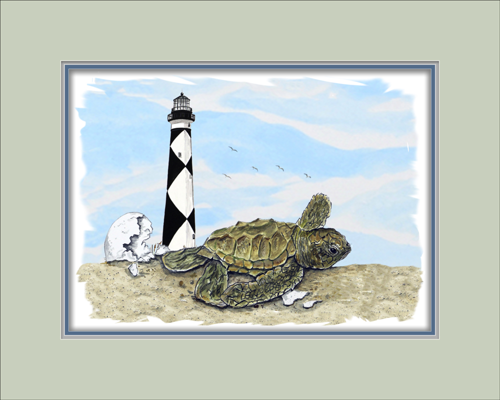 Cape Lookout NC - Hatchling Beach Scene - Click Image to Close