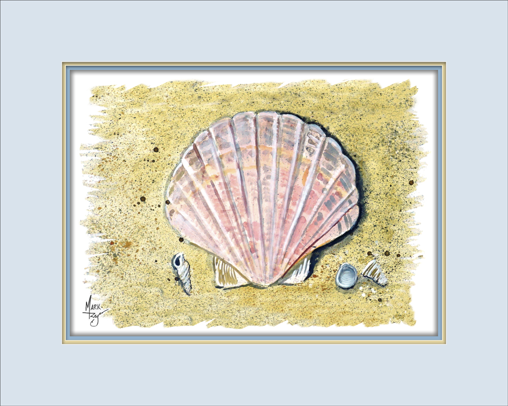 Scallop Sea Shell - Click Image to Close
