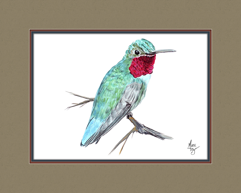 Hummingbird - Click Image to Close