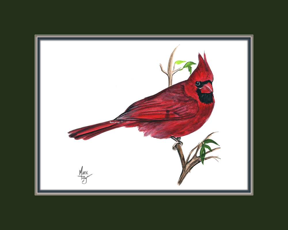 Cardinal - Click Image to Close