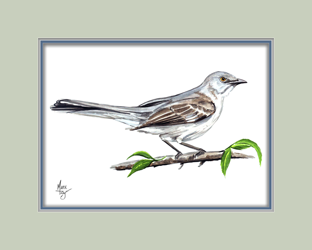 Mockingbird - Click Image to Close