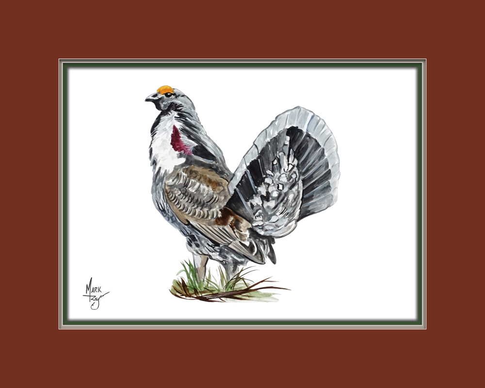 Dusky Grouse - Click Image to Close
