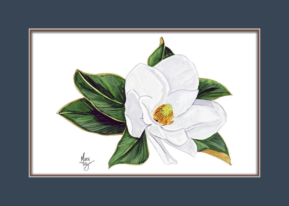 Magnolia Flower. The official state flower of both Mississippi and Louisiana. - Click Image to Close