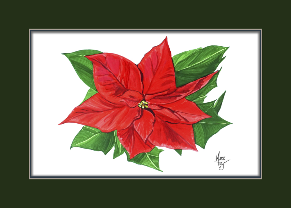 Poinsetia Flower - Click Image to Close