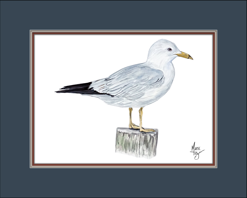Seagull on it's Perch - Click Image to Close