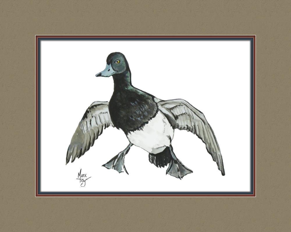 Blue Beak Duck - Click Image to Close