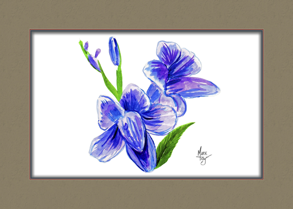 Purple Violet - Click Image to Close