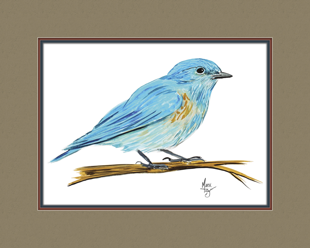 Bluebird - Click Image to Close