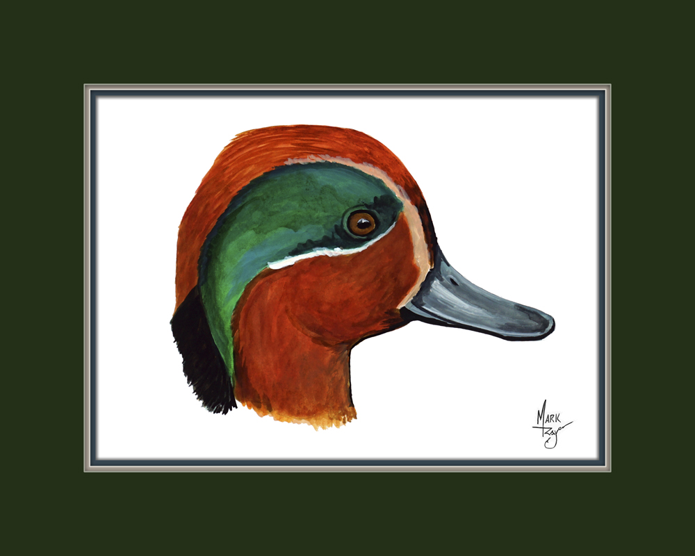 Green Winged Teal Duck Head - Click Image to Close