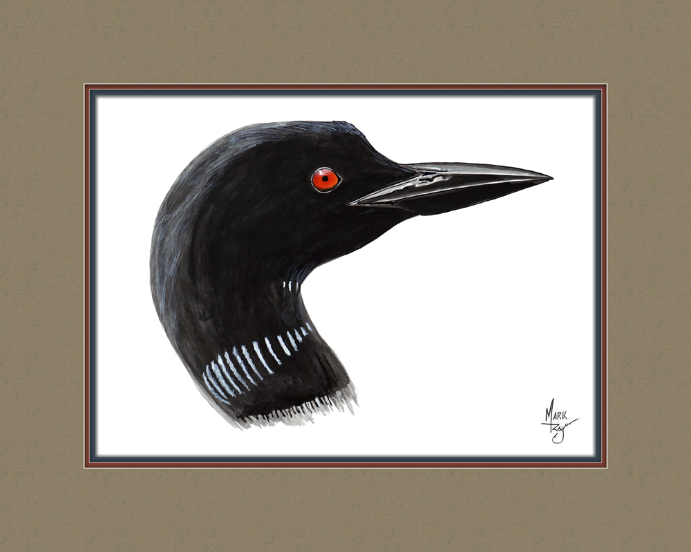 Loon Head - Click Image to Close