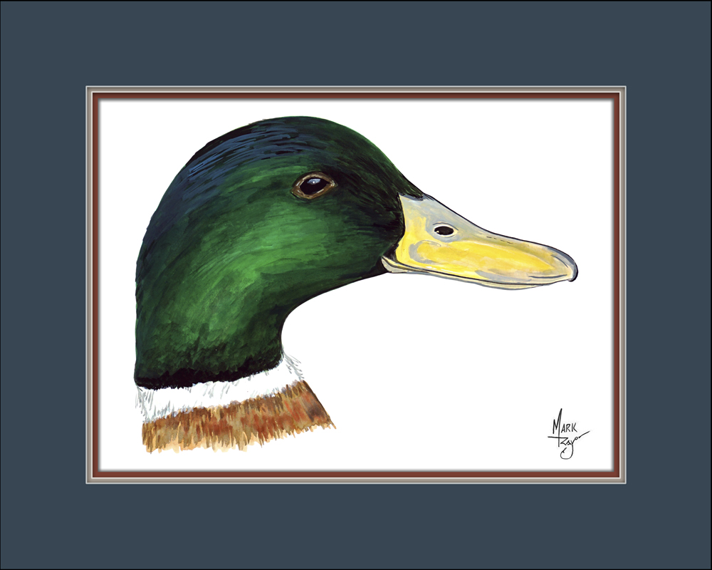 Mallard Duck Head - Click Image to Close