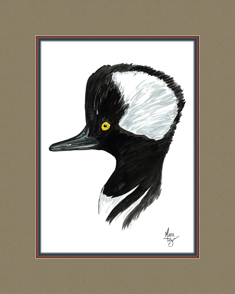 Merganser Head Duck - Click Image to Close