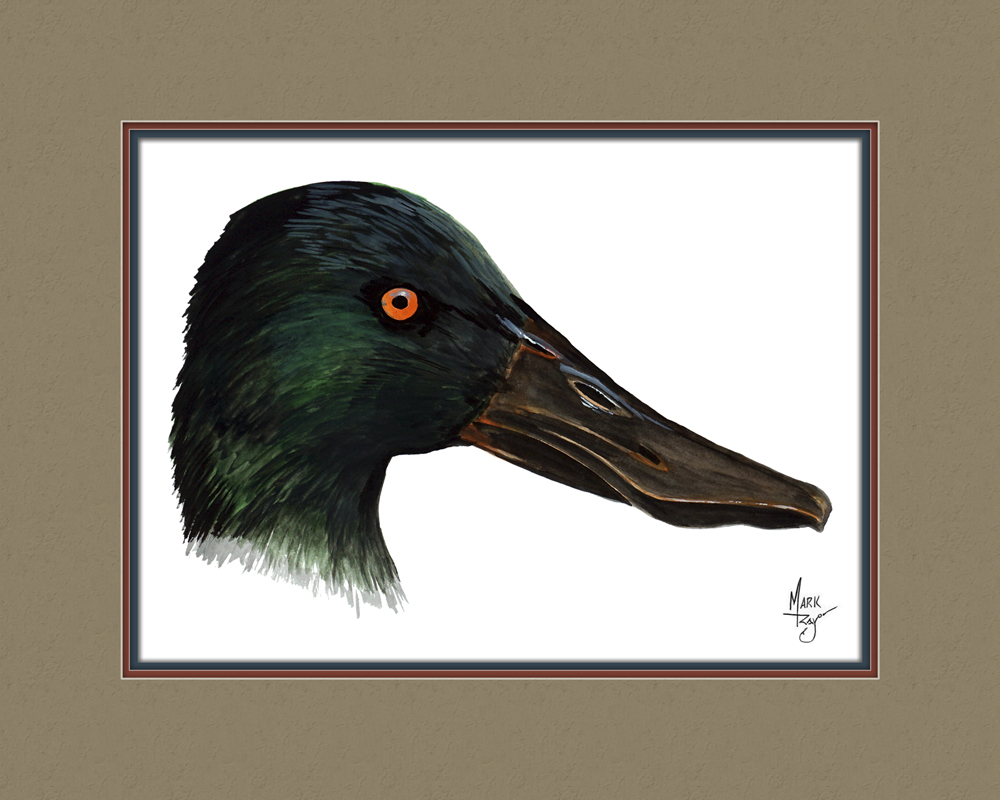 Shovelhead Duck Head - Click Image to Close