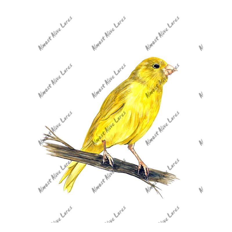 Yellow Canary - Printed Vinyl Decal - Click Image to Close