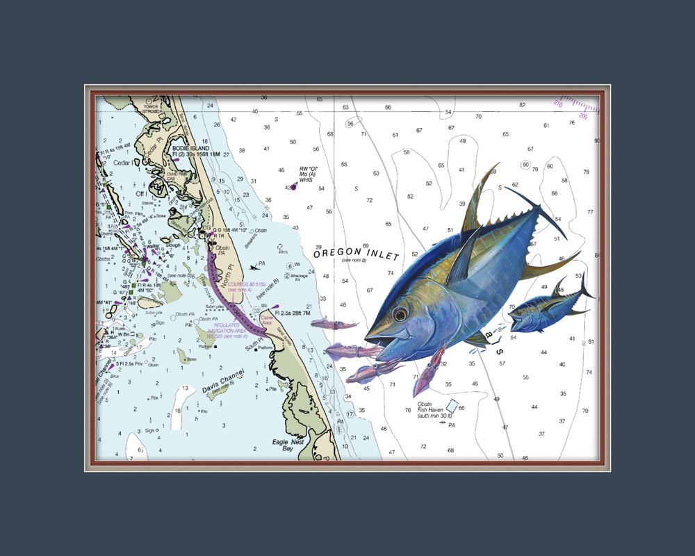 Chart - Oregon Inlet, NC - Tuna