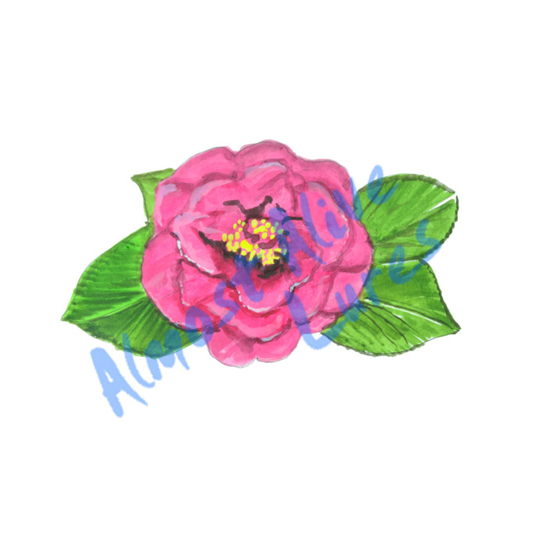 Camellia Flower - Printed Vinyl Decal - Click Image to Close