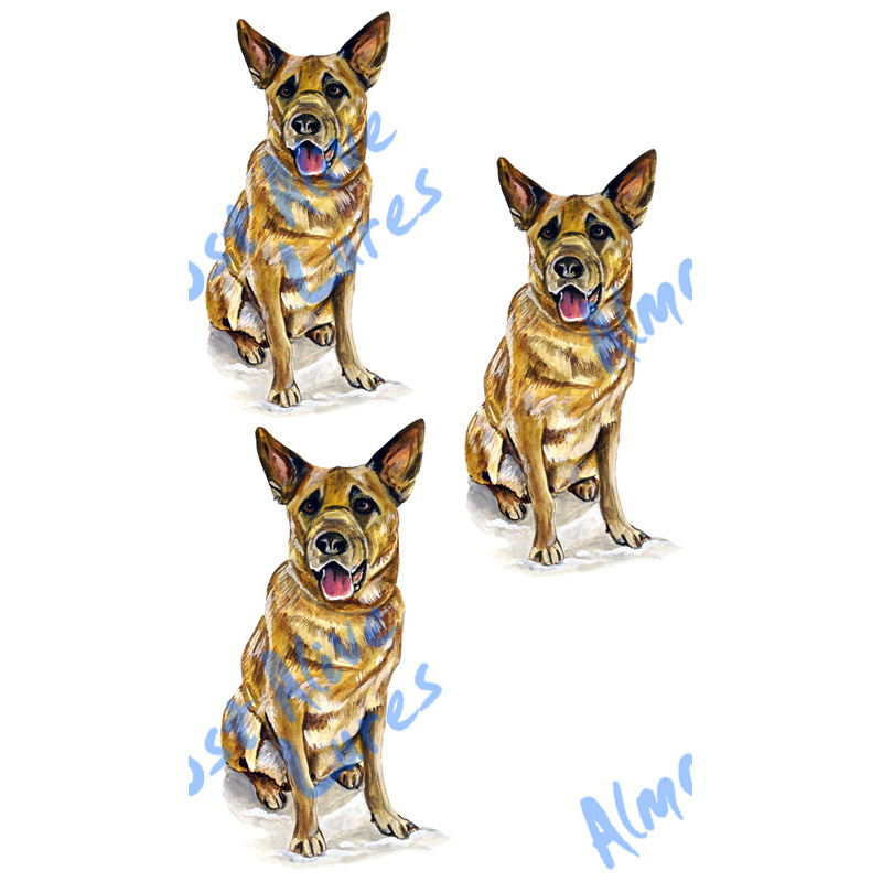 Chinook - Minis Set of 3 Printed Vinyl Decals - Click Image to Close