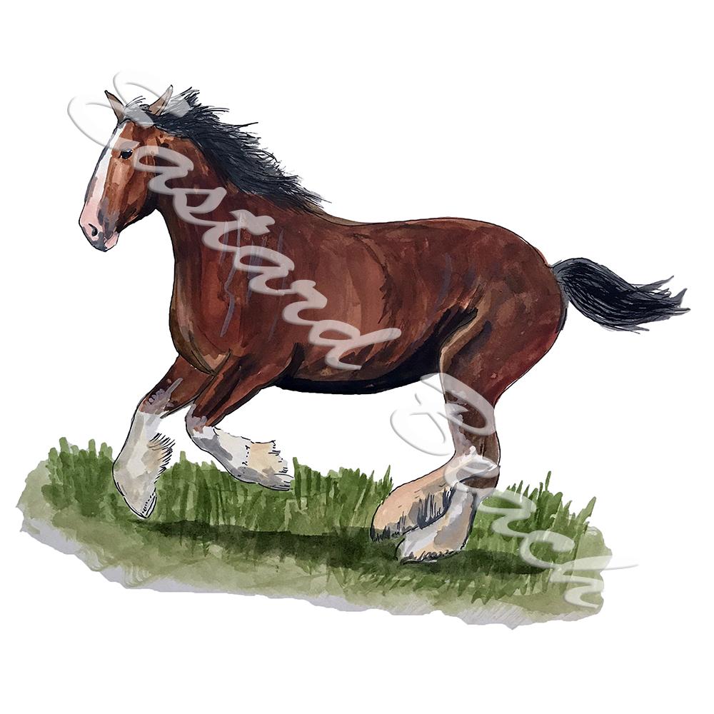 Clydesdale Horse Running - Click Image to Close