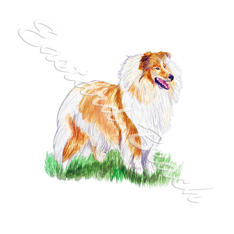 Collie - Printed Vinyl Decal - Click Image to Close