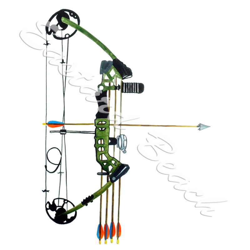 Compound Bow - Click Image to Close