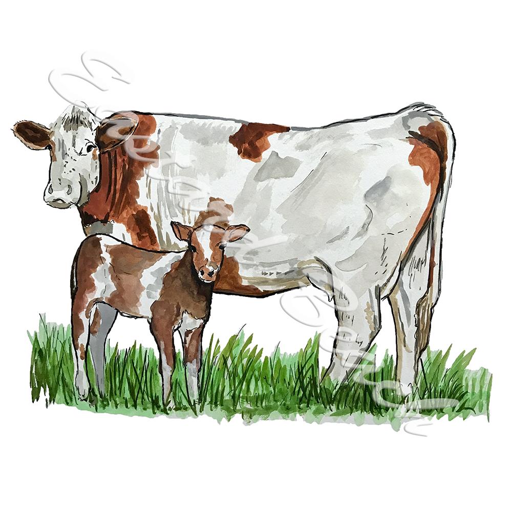 Cow and Calf - Click Image to Close