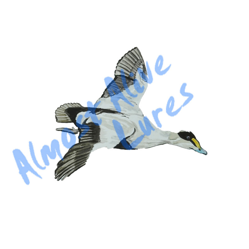 Grey Duck Flying - Printed Vinyl Decal - Click Image to Close