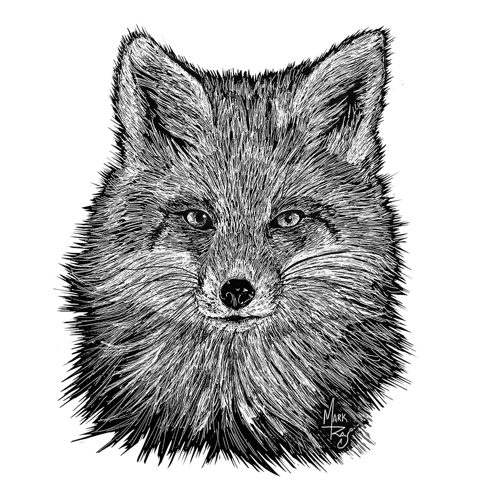 Fox - Click Image to Close