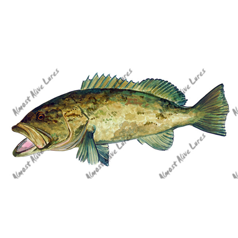 Gag Grouper - Printed Vinyl Decal - Click Image to Close