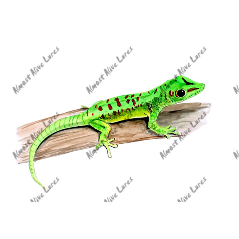 Gecko - Printed Vinyl Decal - Click Image to Close
