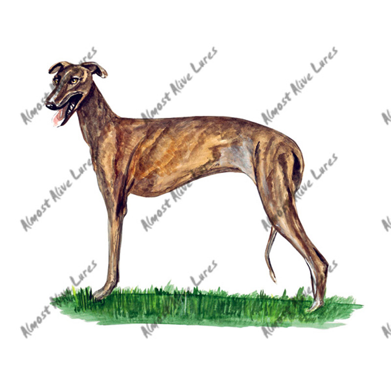 Greyhound - Printed Vinyl Decal - Click Image to Close