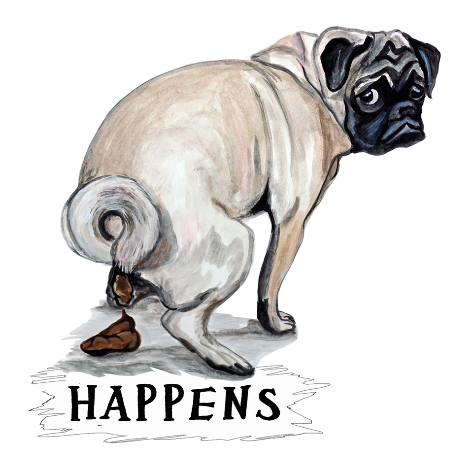"Happens" - Pug Pooping - Click Image to Close