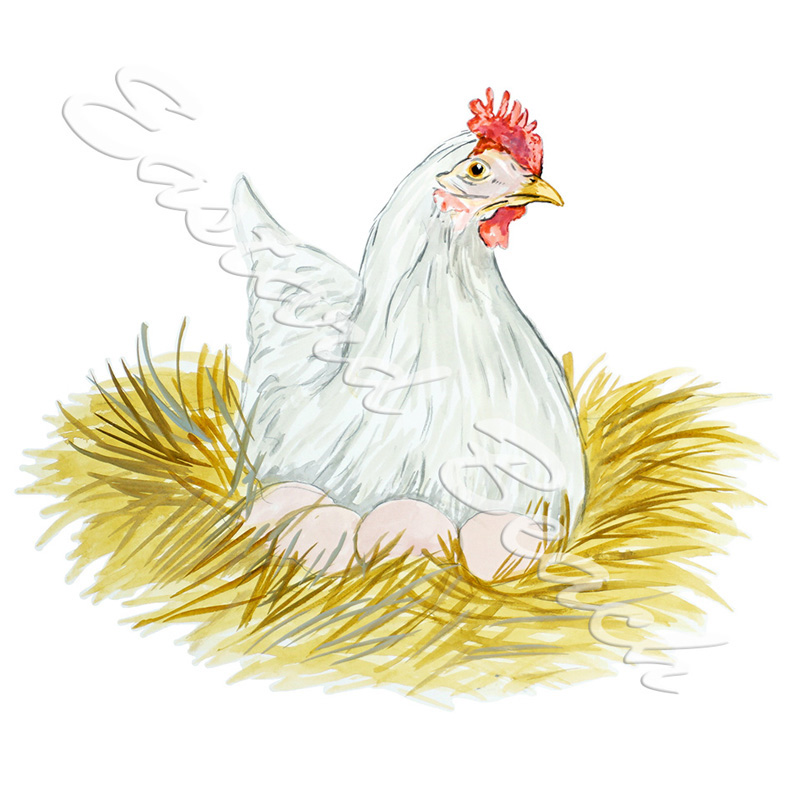 Hen and Nest - Printed Vinyl Decal - Click Image to Close