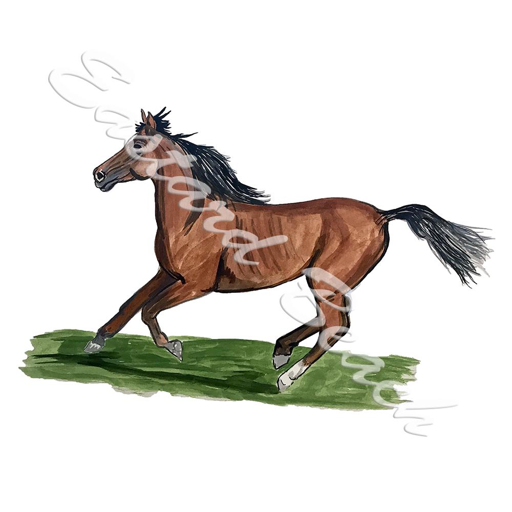 Horse Running - Click Image to Close