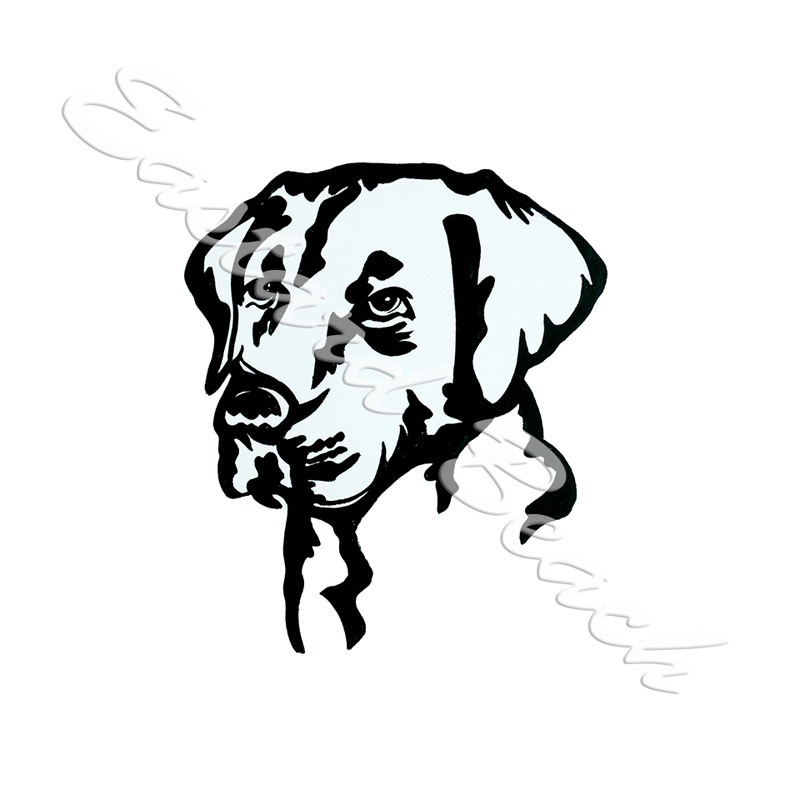 Labrador Retriever Outline- Printed Vinyl Decal