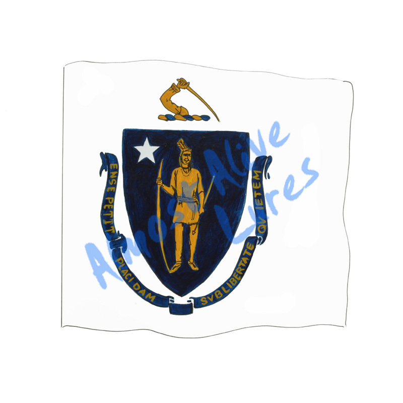 Massachusetts State Flag - Printed Vinyl Decal