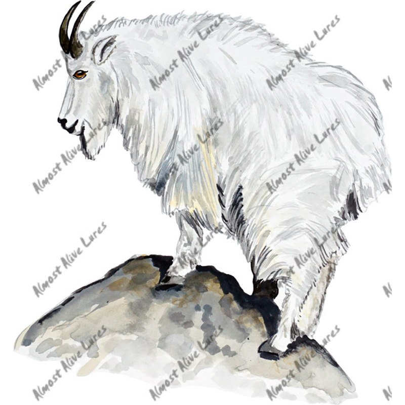 Mountain Goat - Printed Vinyl Decal - Click Image to Close