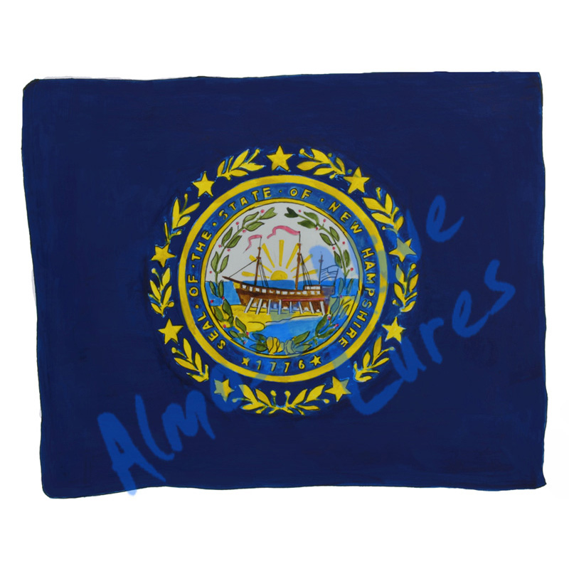 New Hampshire State Flag - Printed Vinyl Decal - Click Image to Close