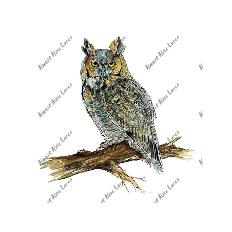 Great Horned Owl - Printed Vinyl Decal - Click Image to Close